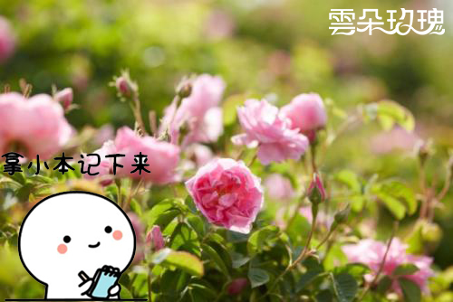 u=2016196806,60987141&fm=26&gp=0 拷贝.jpg