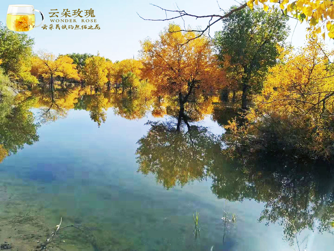 文章附图